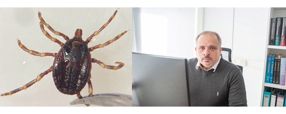 Ticks of the genus Hyalomma residing in Crete (left) and Dr. Kotsyfakis (right)